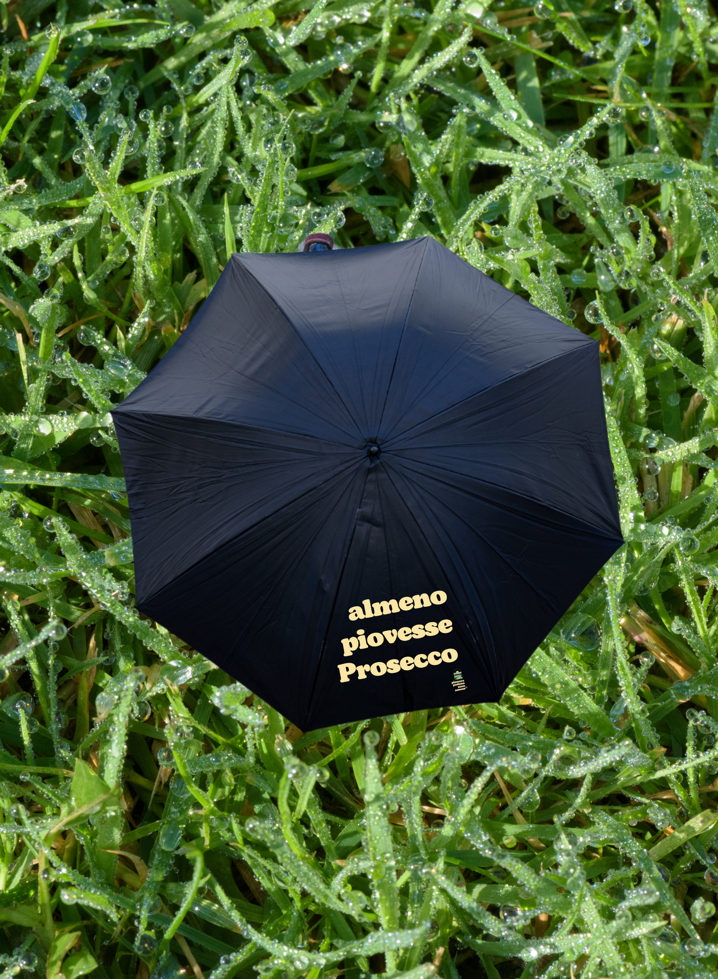 Ombrello "Almeno piovesse Prosecco"