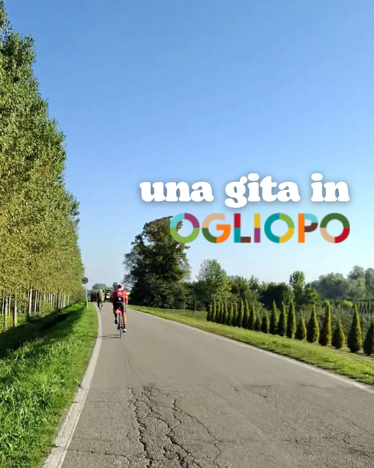 In bicicletta nell'OglioPo
