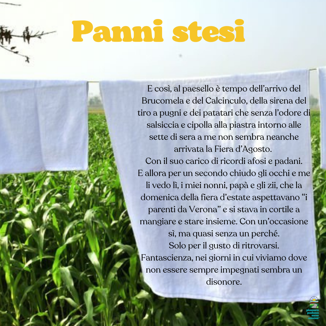 Panni stesi #1 - 01/08/2024